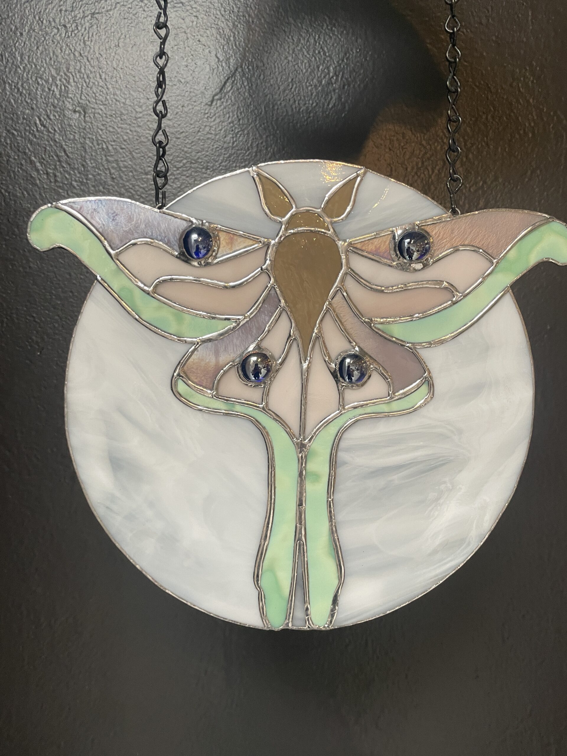 Moth on Moon