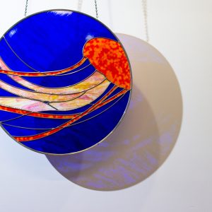 Monterey Bay Jelly
