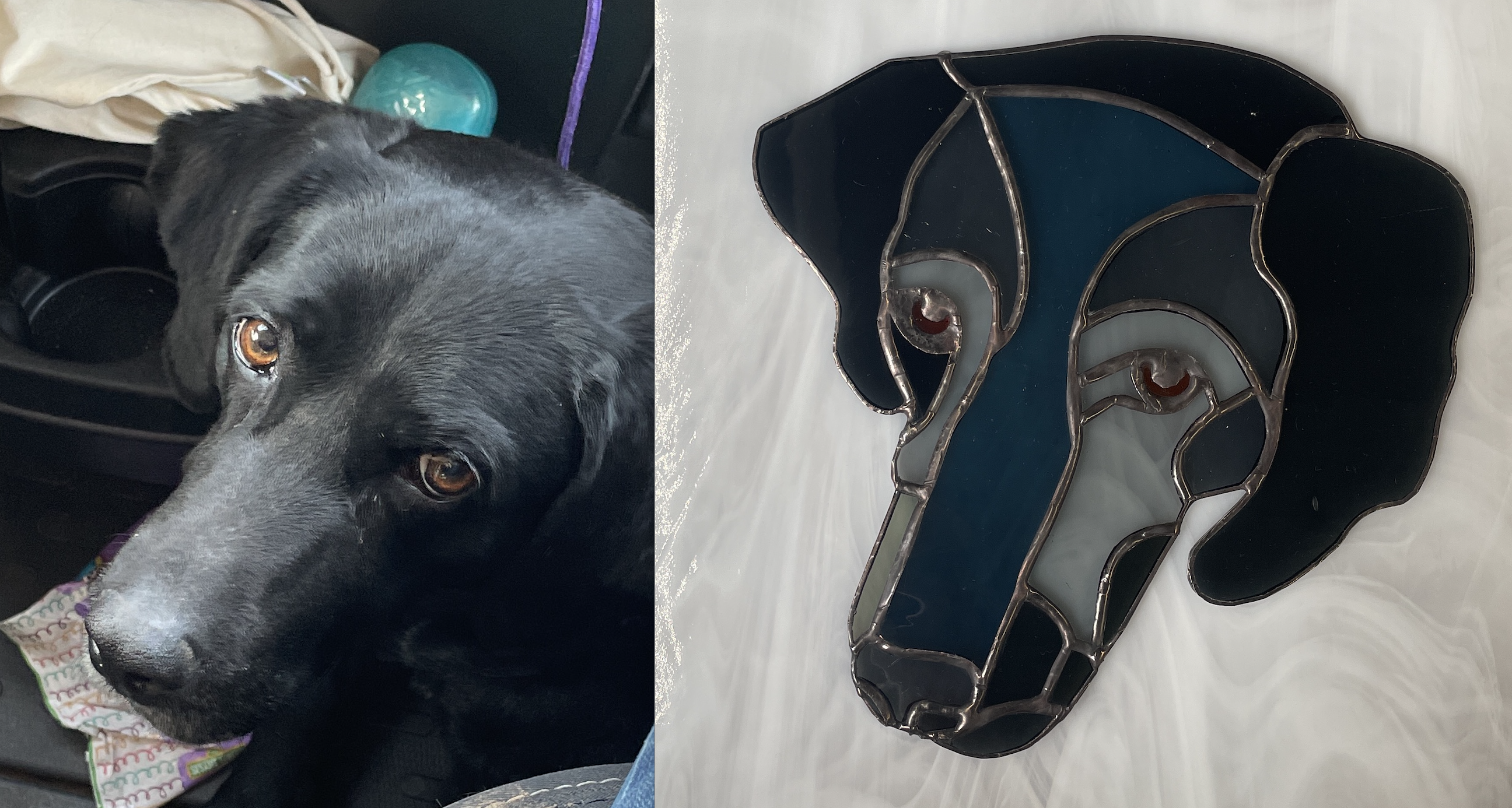 Pet Portrait