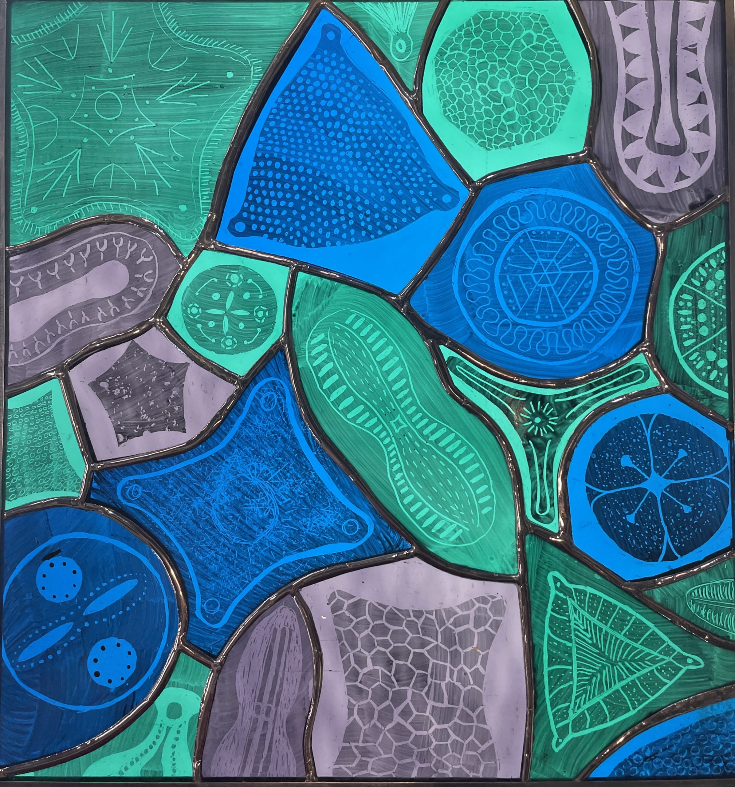 Diatoms